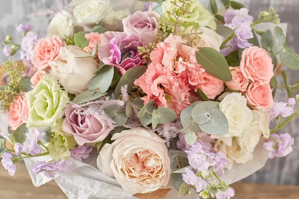 Хризантемы кустовые